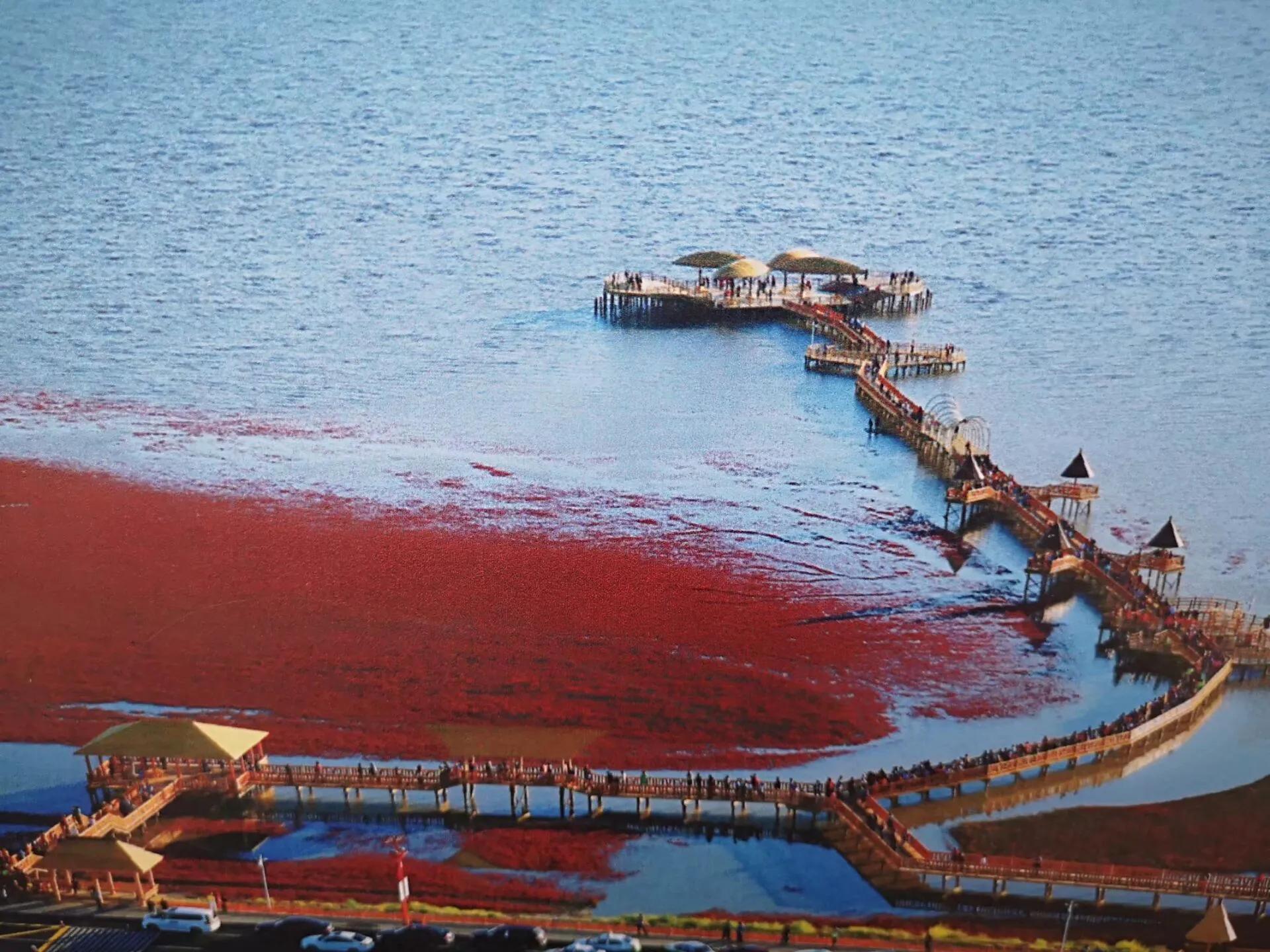 盘锦之韵，城市风采展示