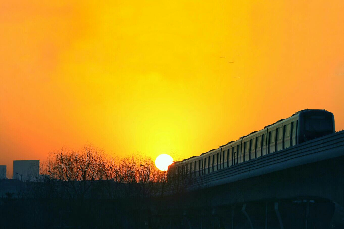 朝阳，城市之光，活力四溢的魅力评论